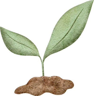 watercolor sprout with leaves in soil